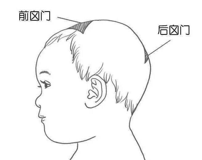 囟門發育不良的表現 囟門發育不良的表現