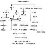 I型腎小管性酸中毒