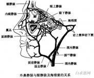 海綿竇血栓 海綿竇血栓