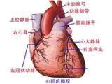 房性早搏 房性早搏
