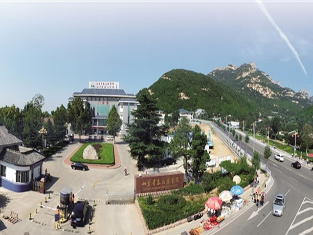 山東省泰山醫院